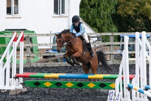 Class 2 -  Fences not above 2'